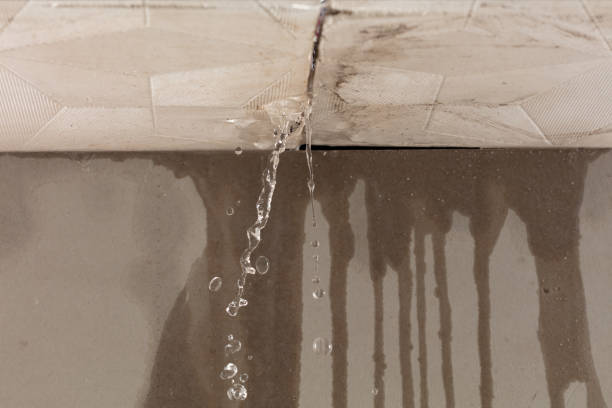 Professional Structural Drying technician working in Richton, MS